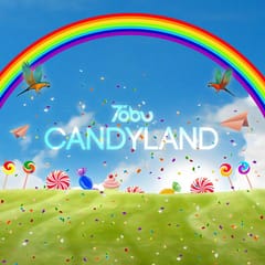 Cover of album that contains Candyland